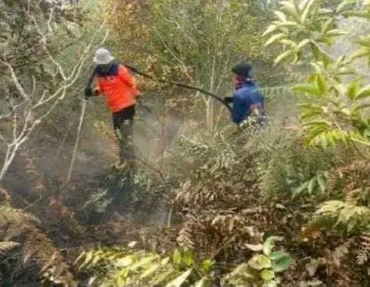 Rangkuman BNPP Sejumlah Bencana di Indonesia