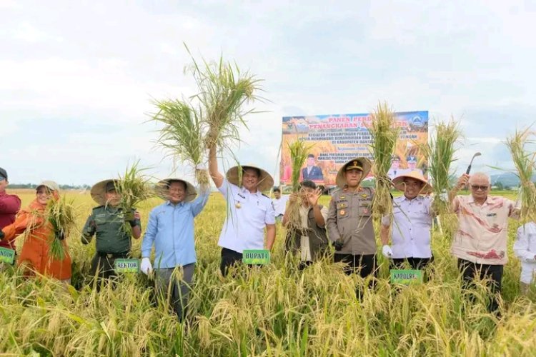 Bupati Bantaeng Hadiri Panen Perdana Penangkaran Padi Genjah dan Jagung Hasil Kolaborasi dengan Unhas