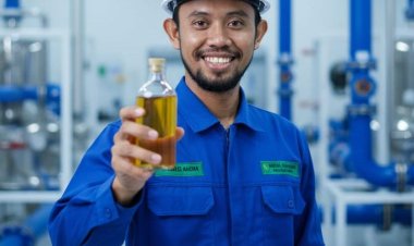 Menjaga Keadilan Rantai Pasok Minyak Nilam di Tengah Ekspansi Perusahaan Global